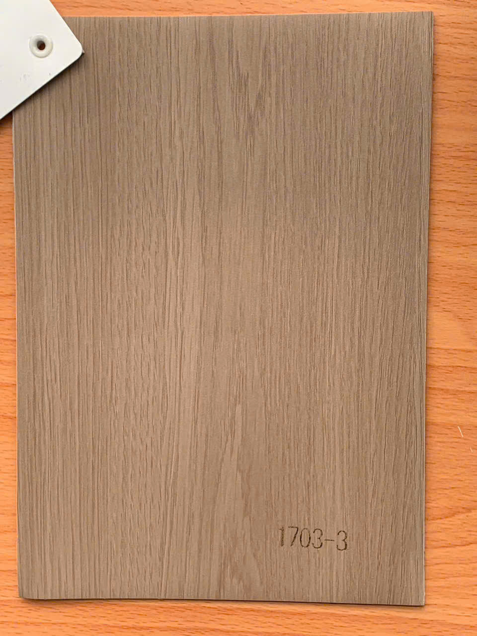 Decal dán tường SAMPLE 2